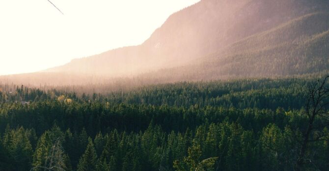 Specialty Treatments